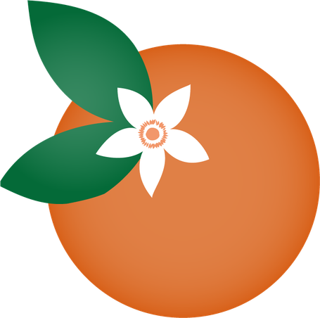 Eine Orange mit der Orangenblüte.